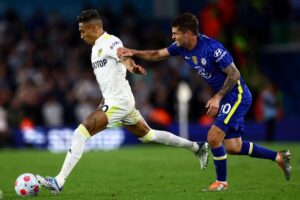 วัวชน ออนไลน์